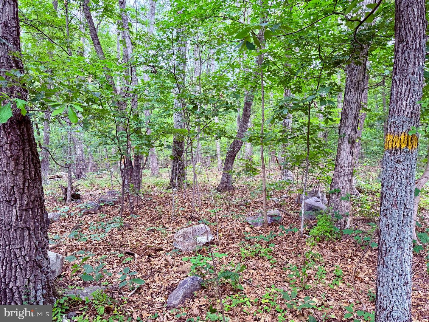 21908 White Oak Rd Property Photo 1