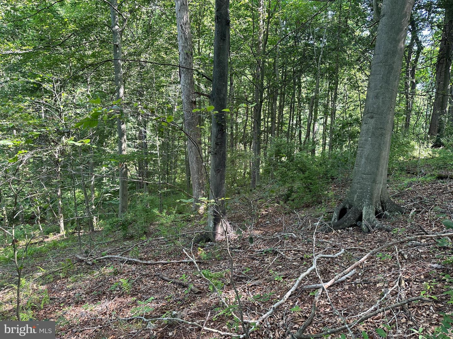 14126 Indian Springs Rd Property Photo 3