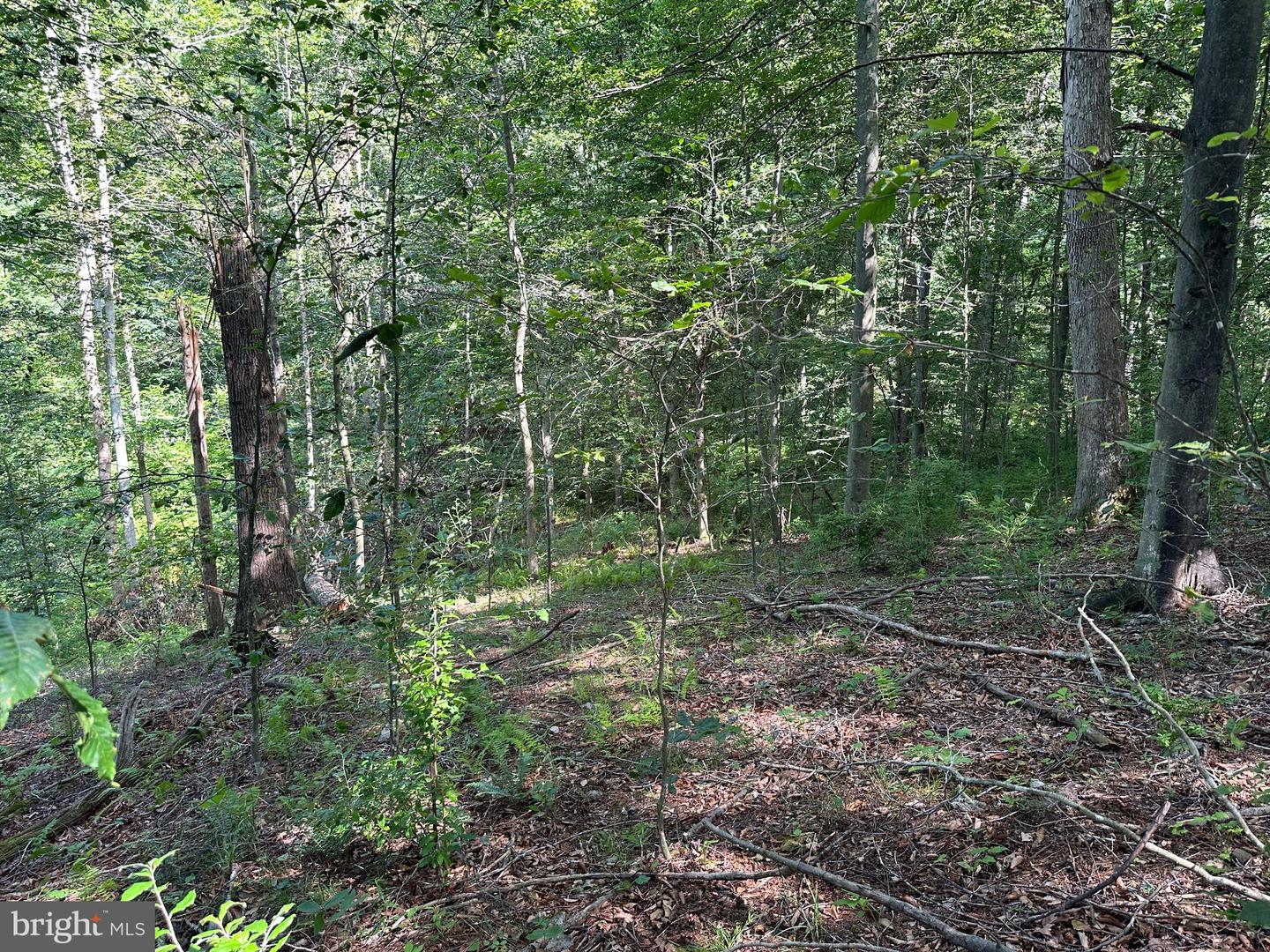 14126 Indian Springs Rd Property Photo 4