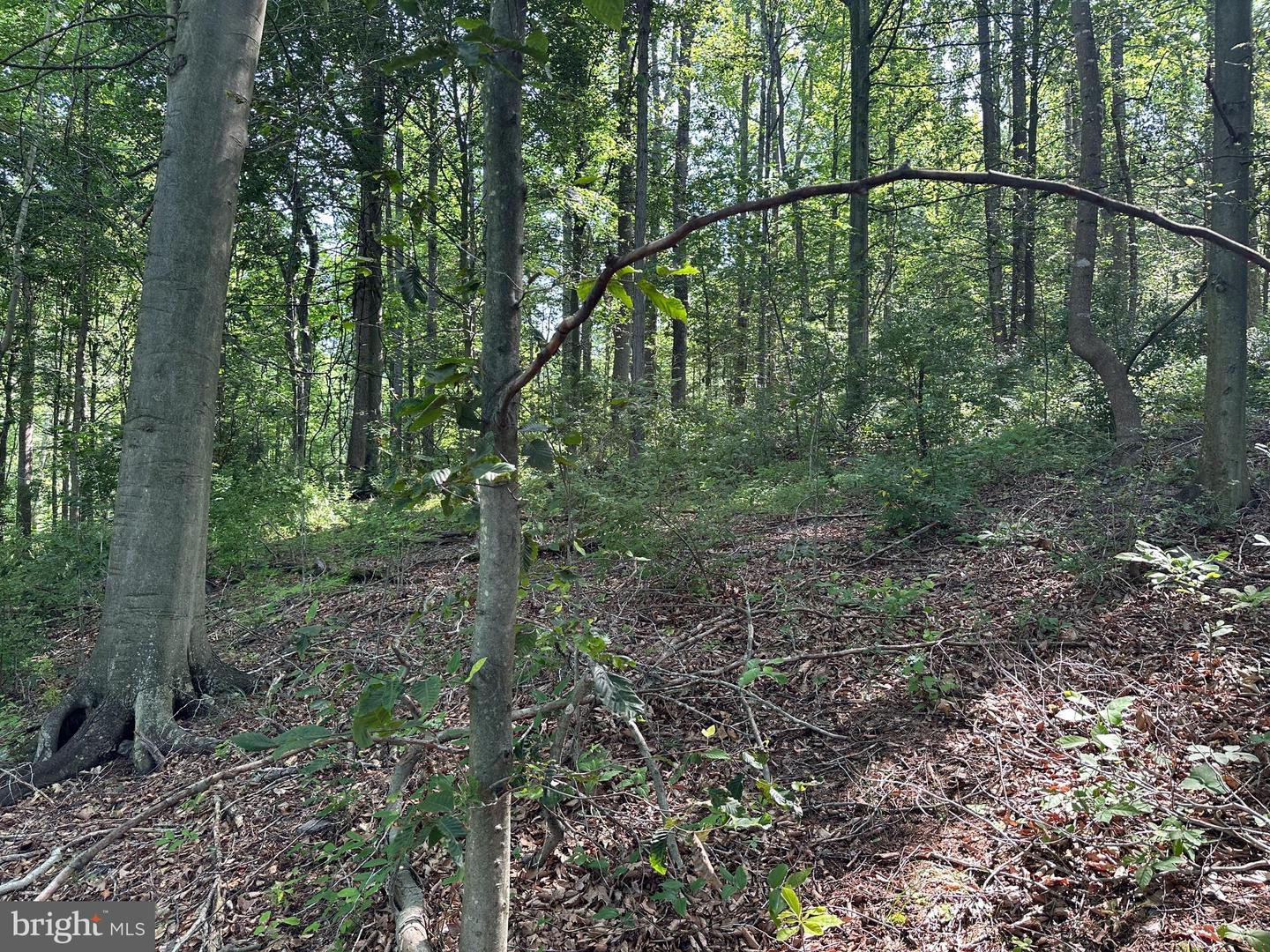 14126 Indian Springs Rd Property Photo 6