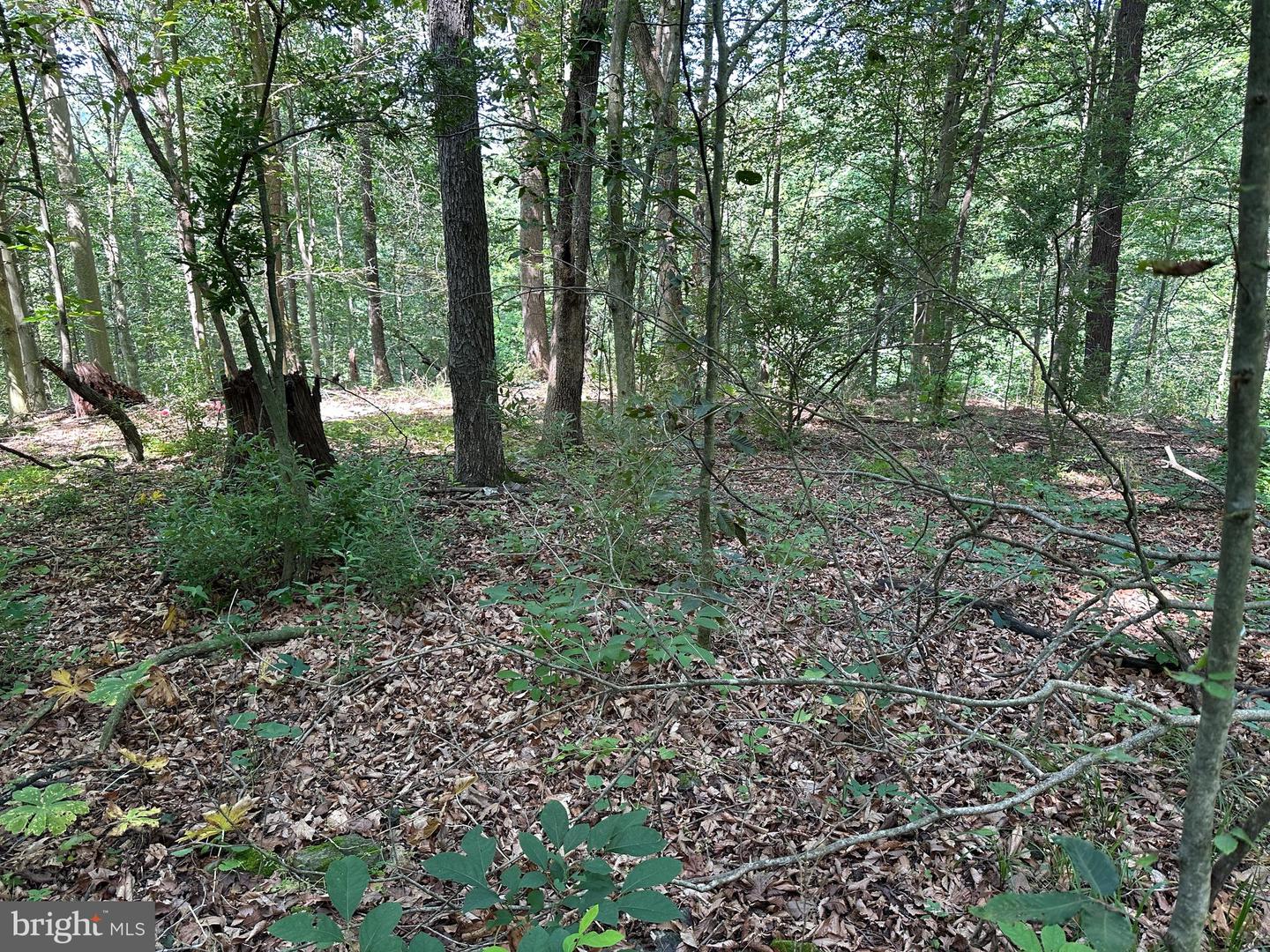 14126 Indian Springs Rd Property Photo 7