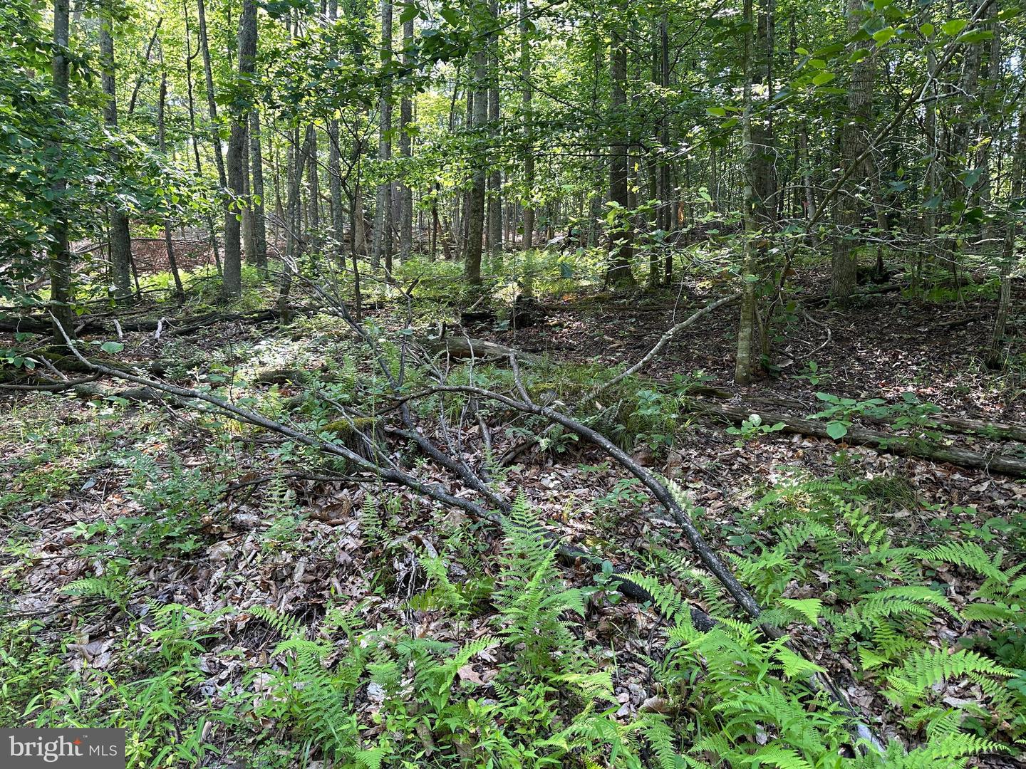 14126 Indian Springs Rd Property Photo 8