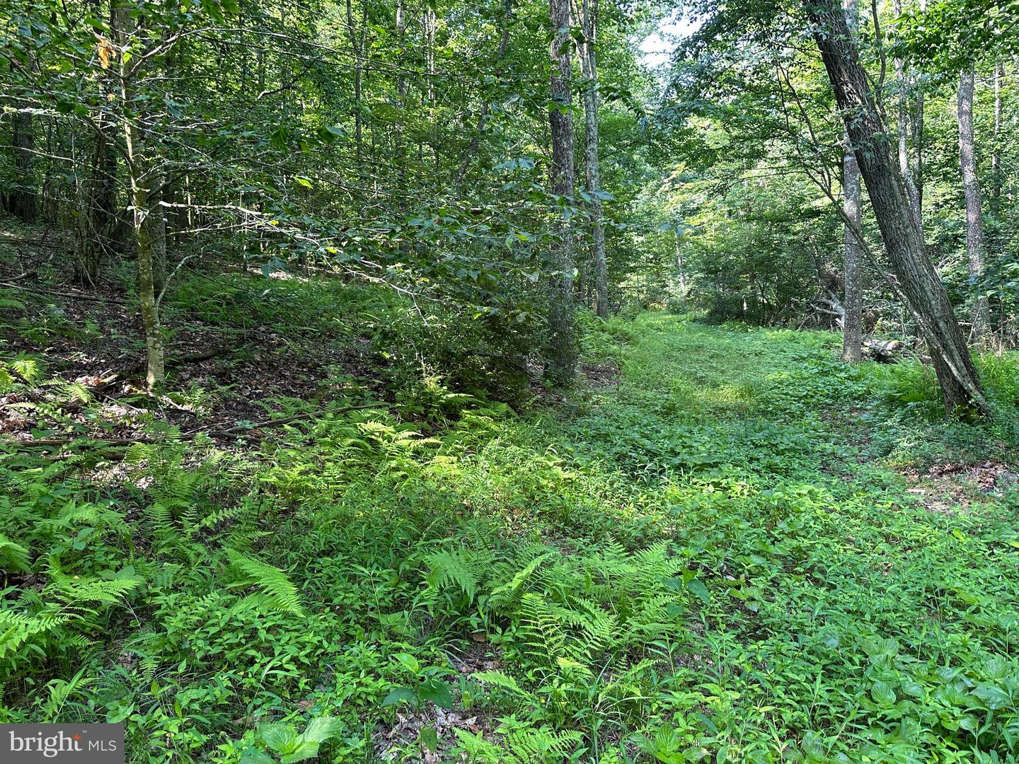 14126 Indian Springs Rd Property Photo 14