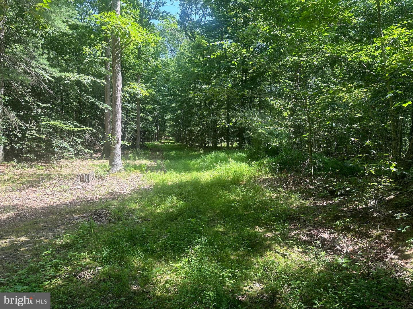 14126 Indian Springs Rd Property Photo 21
