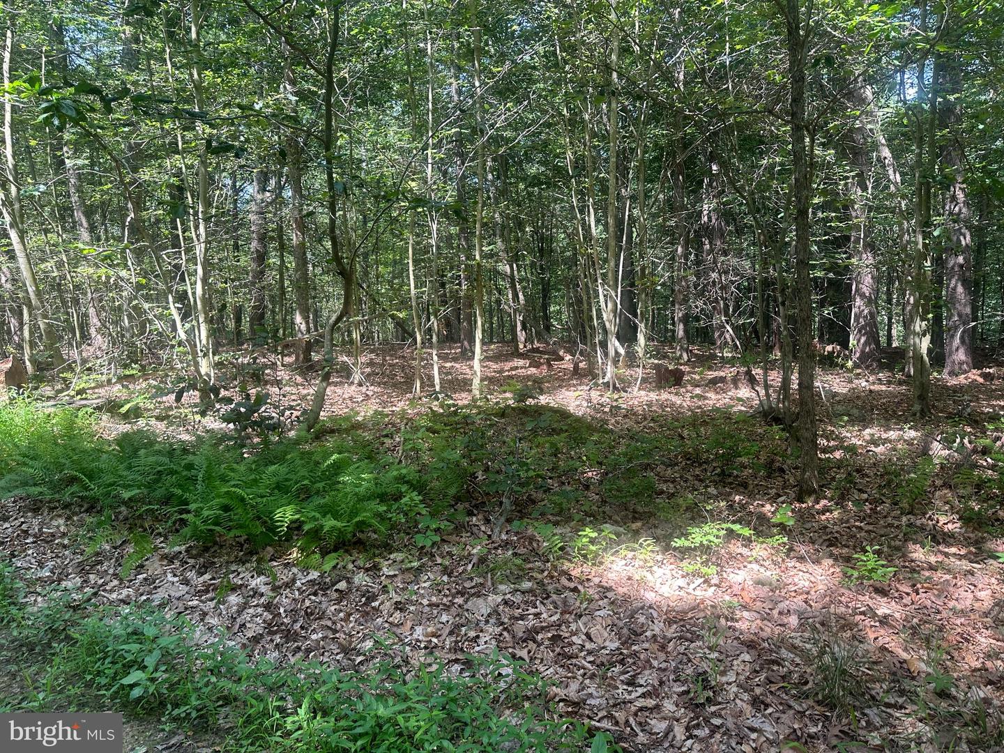 14126 Indian Springs Rd Property Photo 26