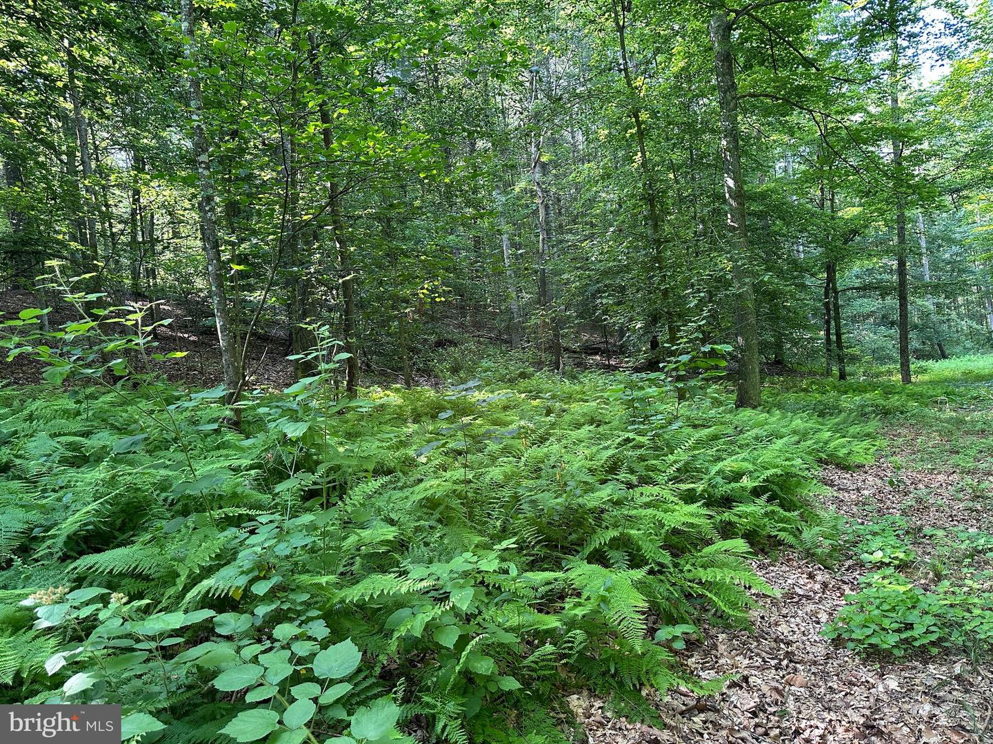 14126 Indian Springs Rd Property Photo 27