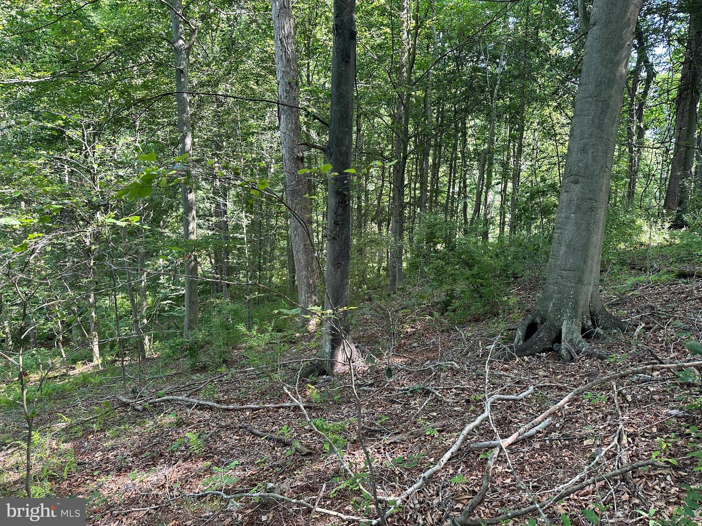 14110 Indian Springs Rd Property Photo 3