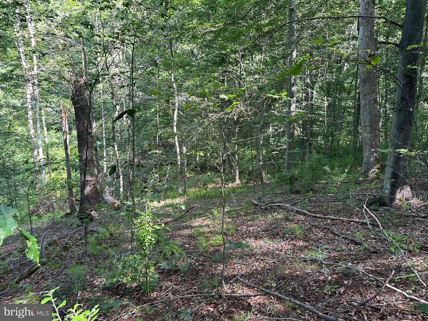 14110 Indian Springs Rd Property Photo 4