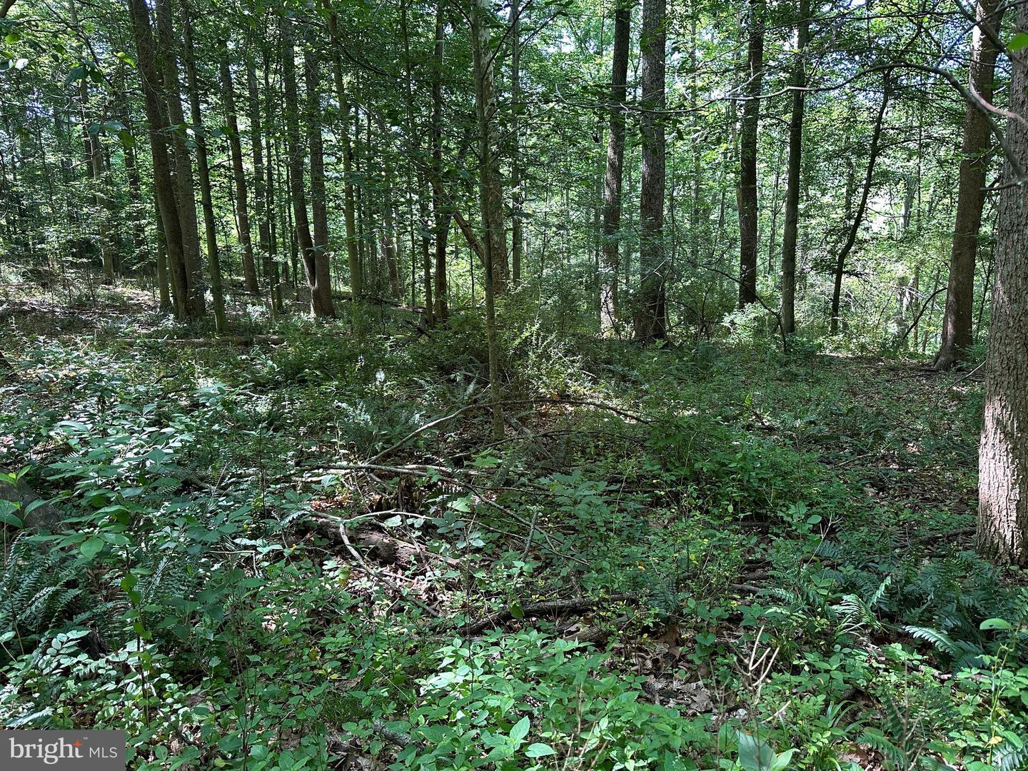 14110 Indian Springs Rd Property Photo 5