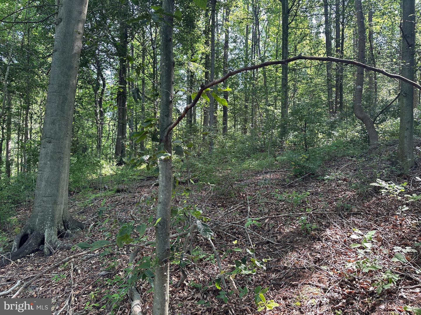 14110 Indian Springs Rd Property Photo 6