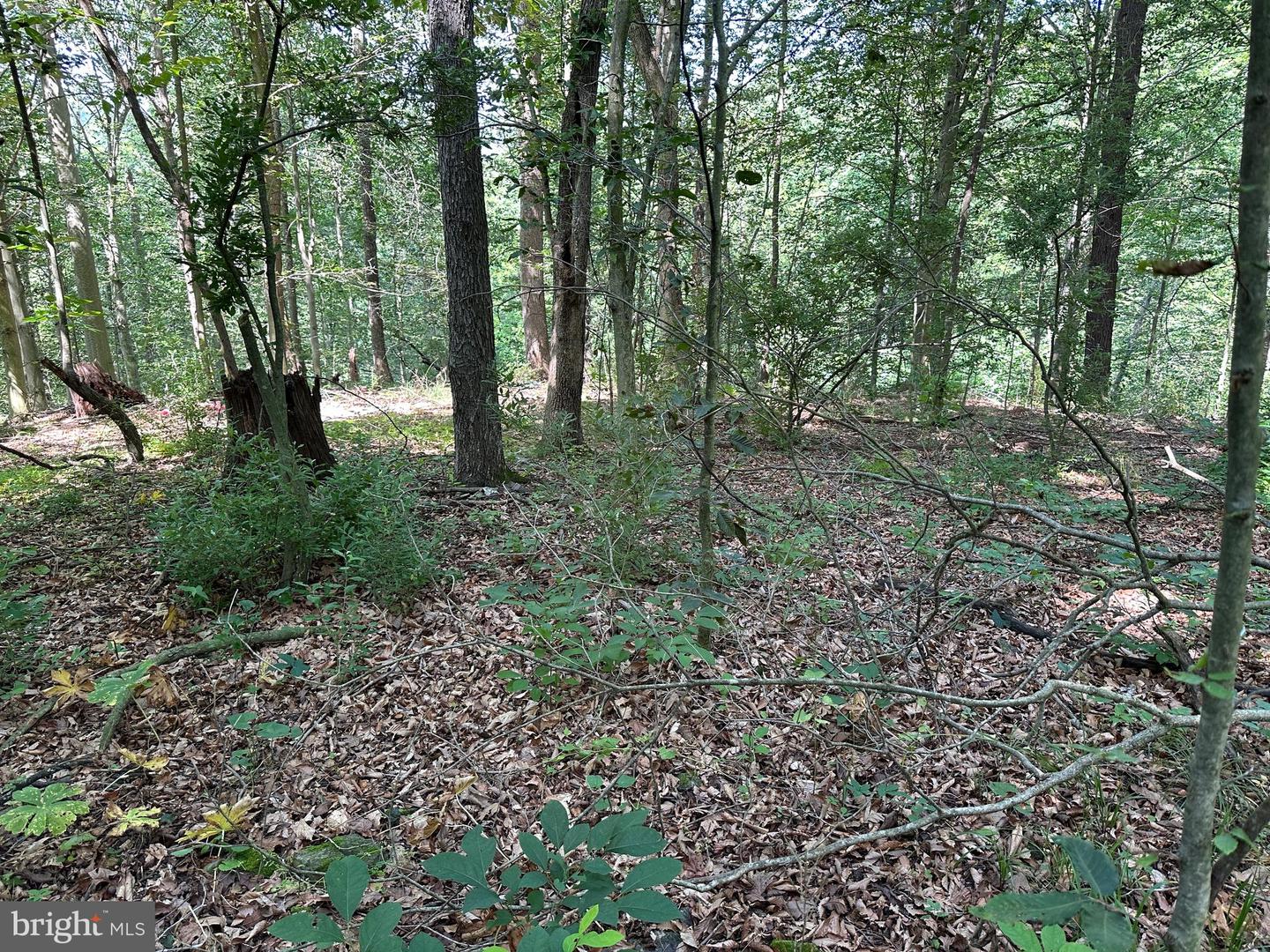14110 Indian Springs Rd Property Photo 7