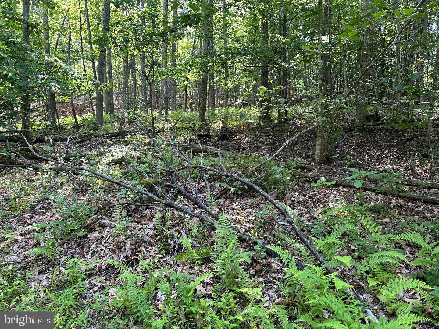 14110 Indian Springs Rd Property Photo 8