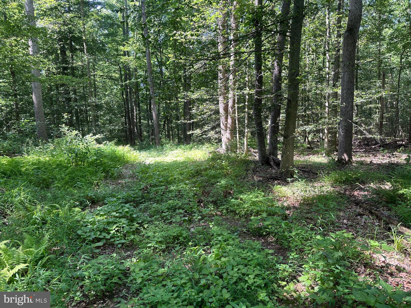 14110 Indian Springs Rd Property Photo 9