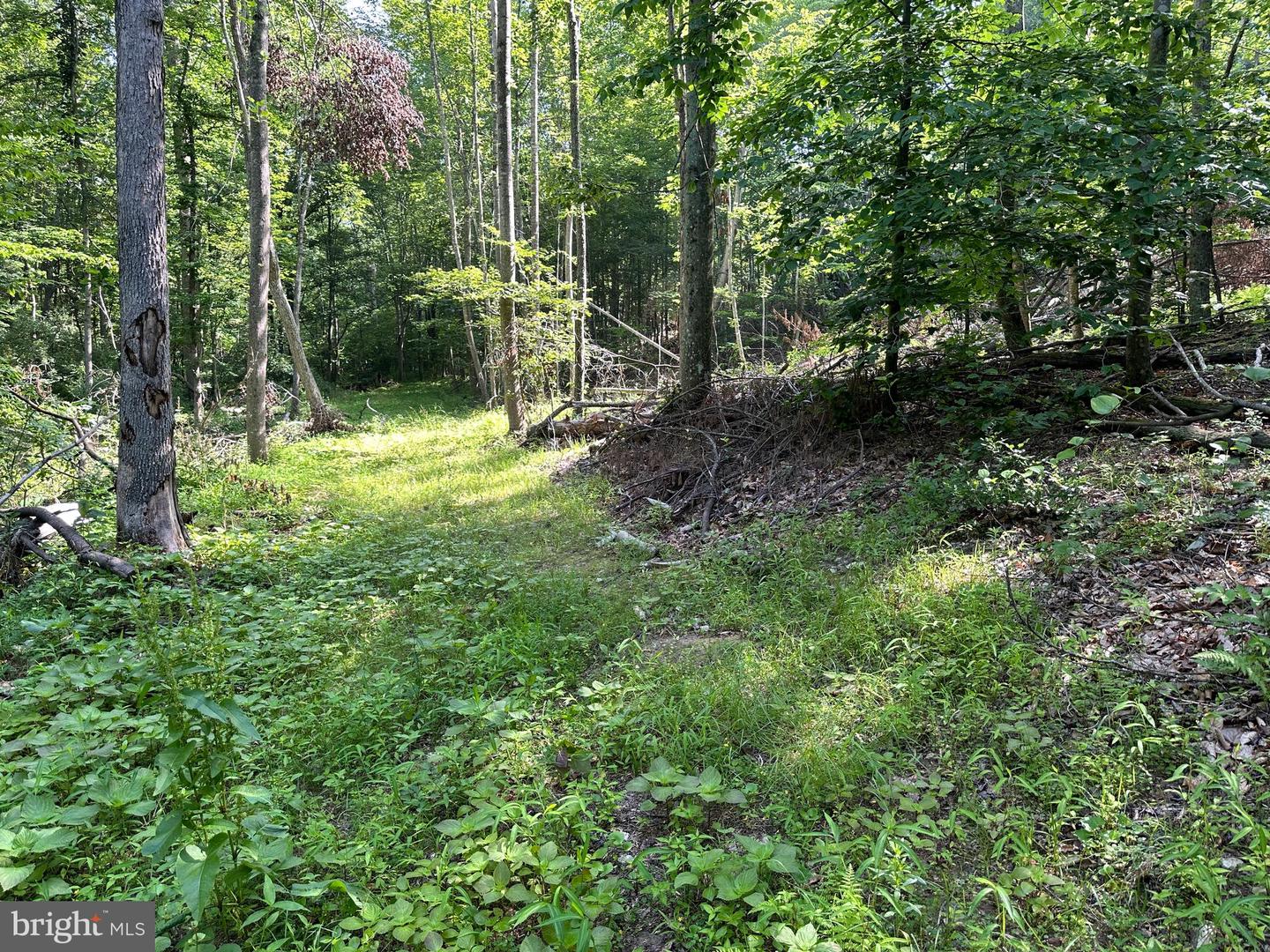 14110 Indian Springs Rd Property Photo 10