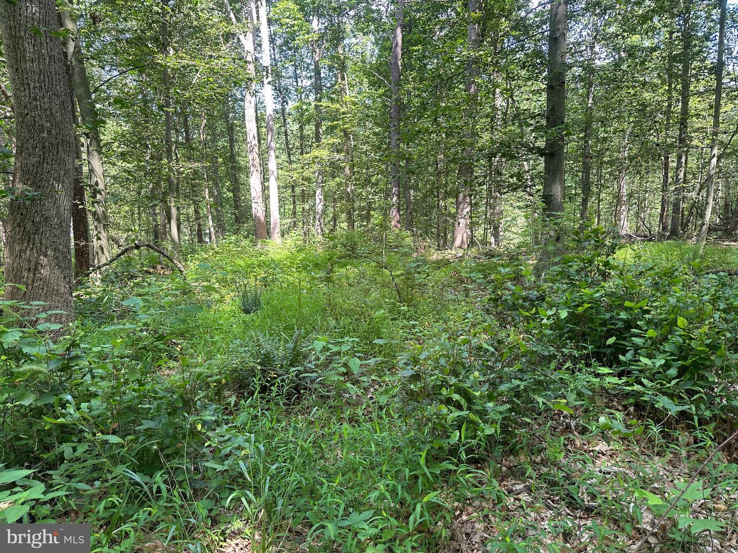 14110 Indian Springs Rd Property Photo 11