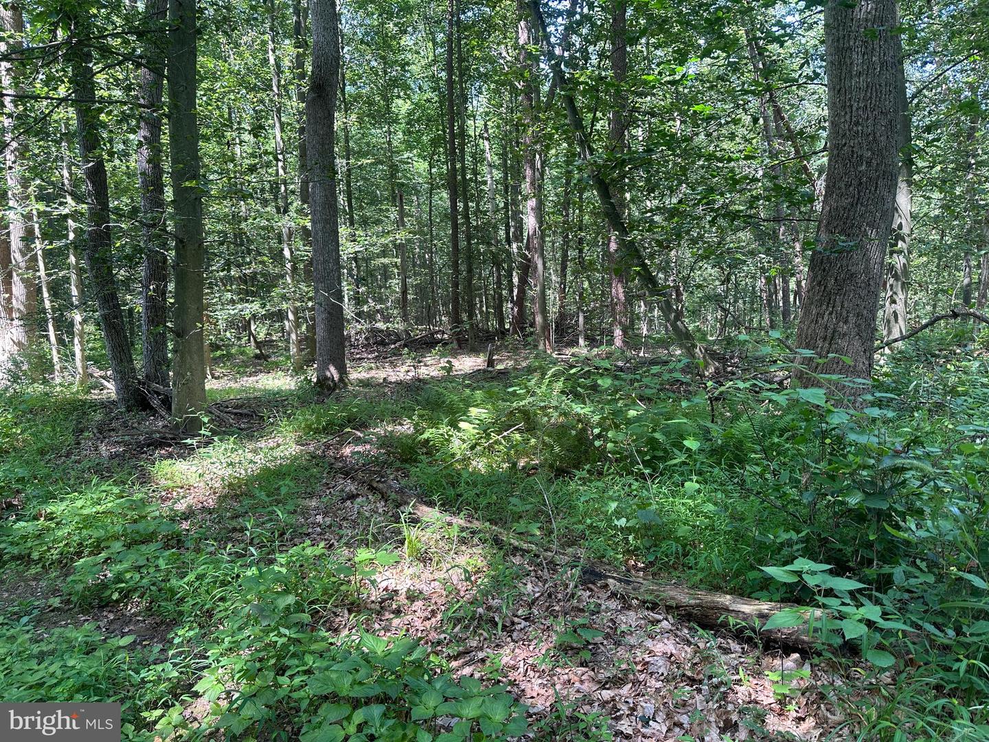 14110 Indian Springs Rd Property Photo 12
