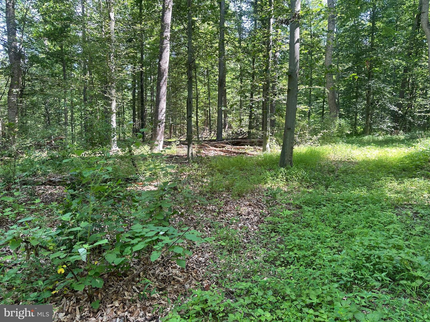 14110 Indian Springs Rd Property Photo 13