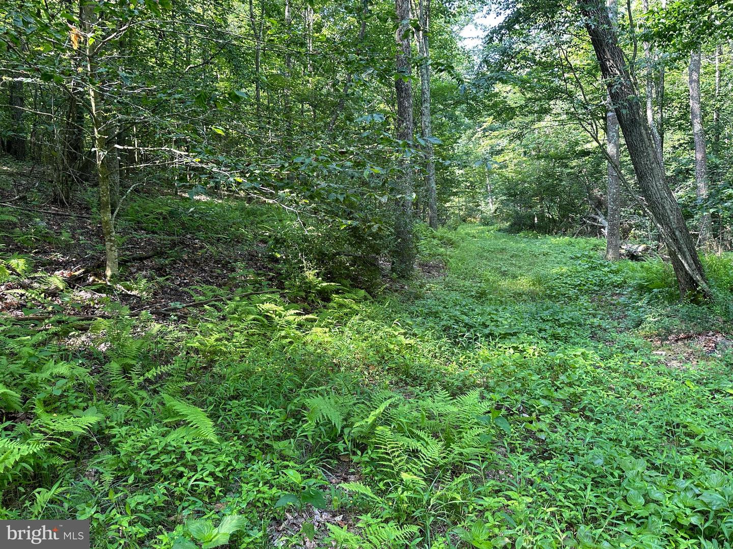 14110 Indian Springs Rd Property Photo 14