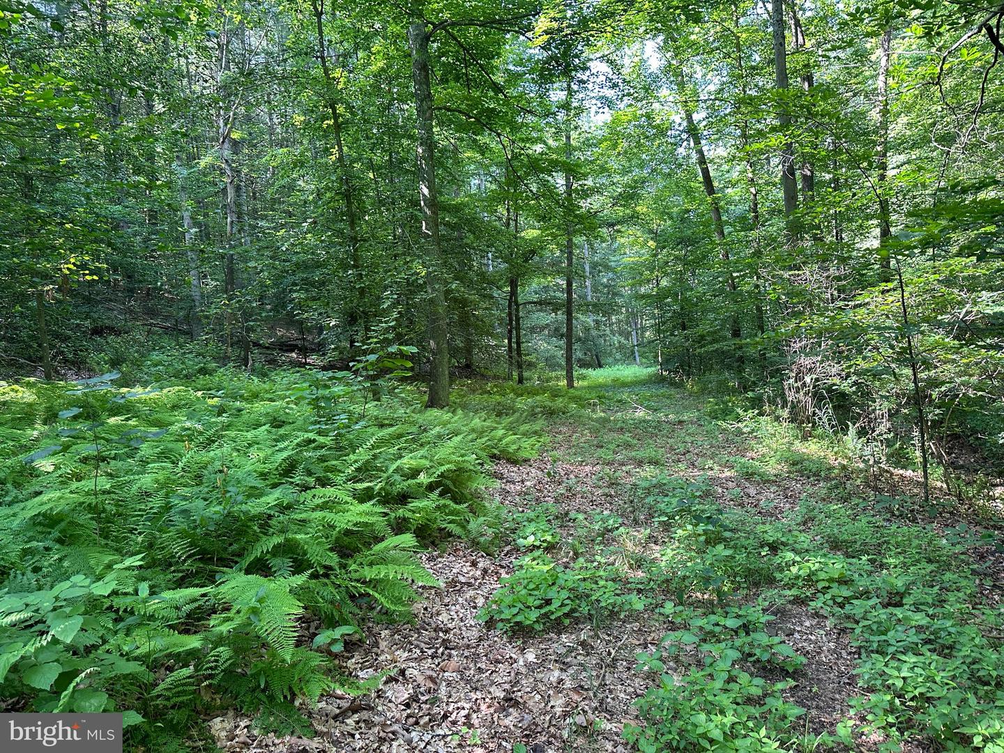 14110 Indian Springs Rd Property Photo 16