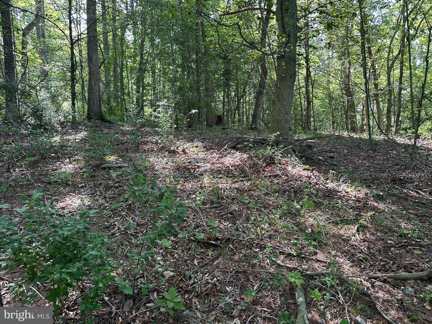 14110 Indian Springs Rd Property Photo 17