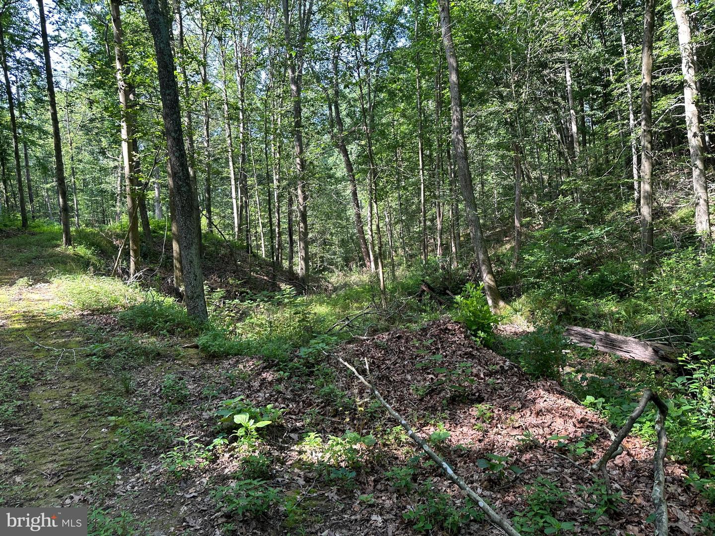 14110 Indian Springs Rd Property Photo 18