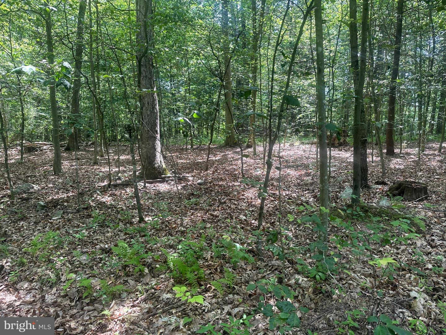 14110 Indian Springs Rd Property Photo 19