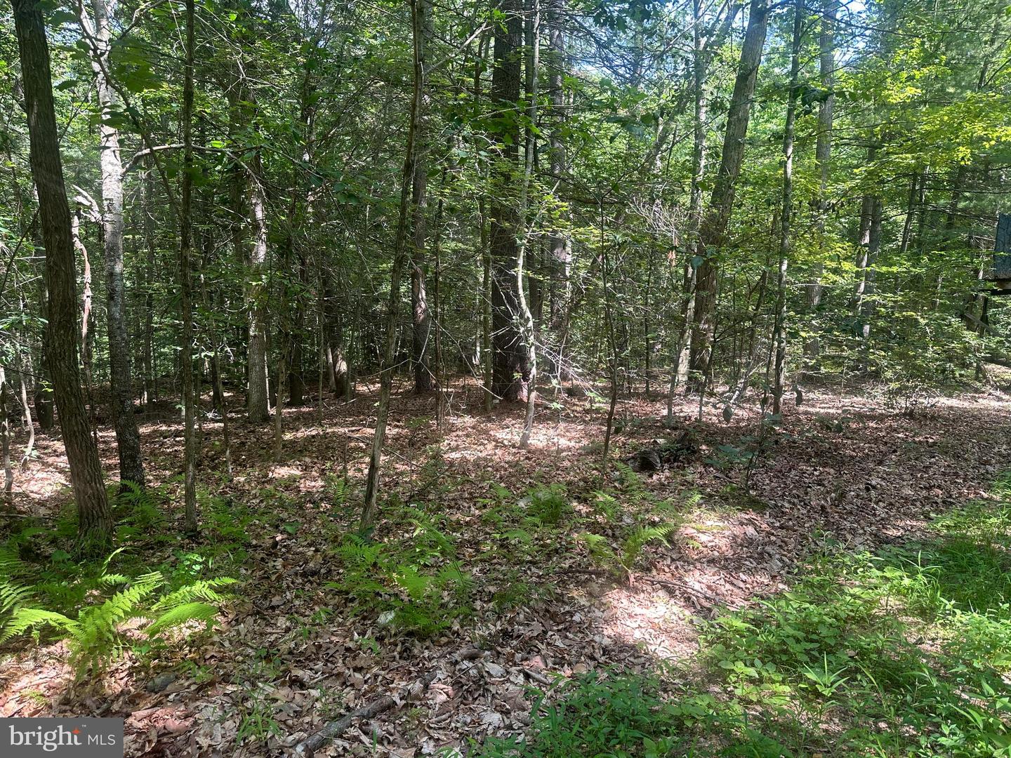 14110 Indian Springs Rd Property Photo 20