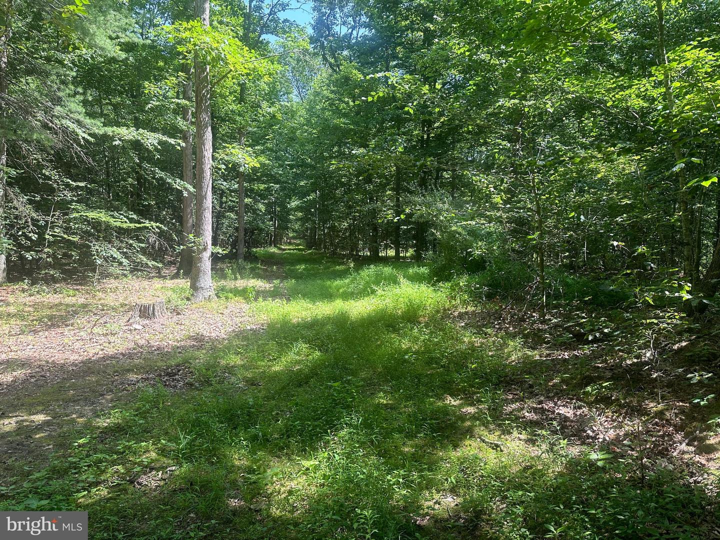 14110 Indian Springs Rd Property Photo 21