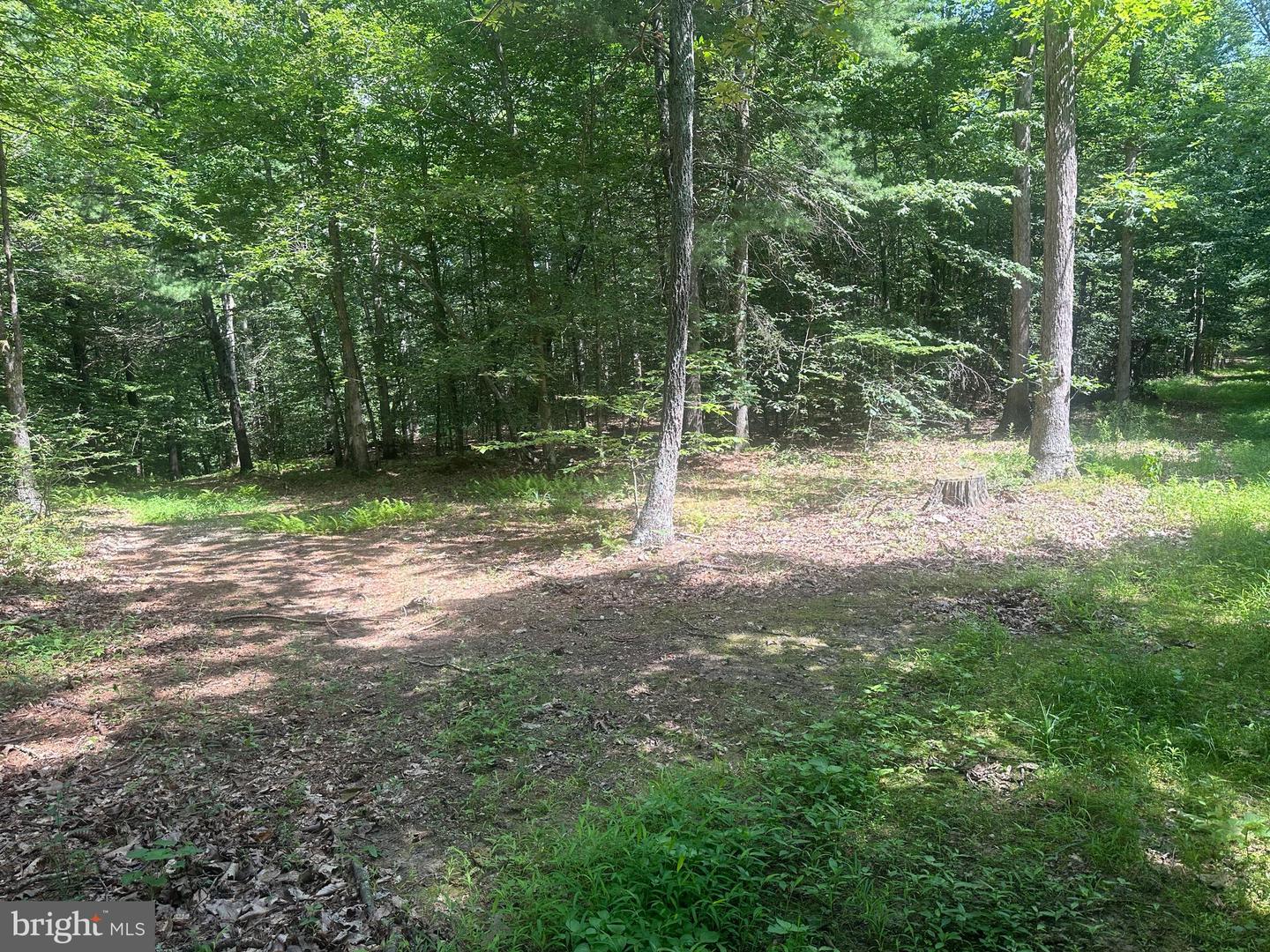 14110 Indian Springs Rd Property Photo 22