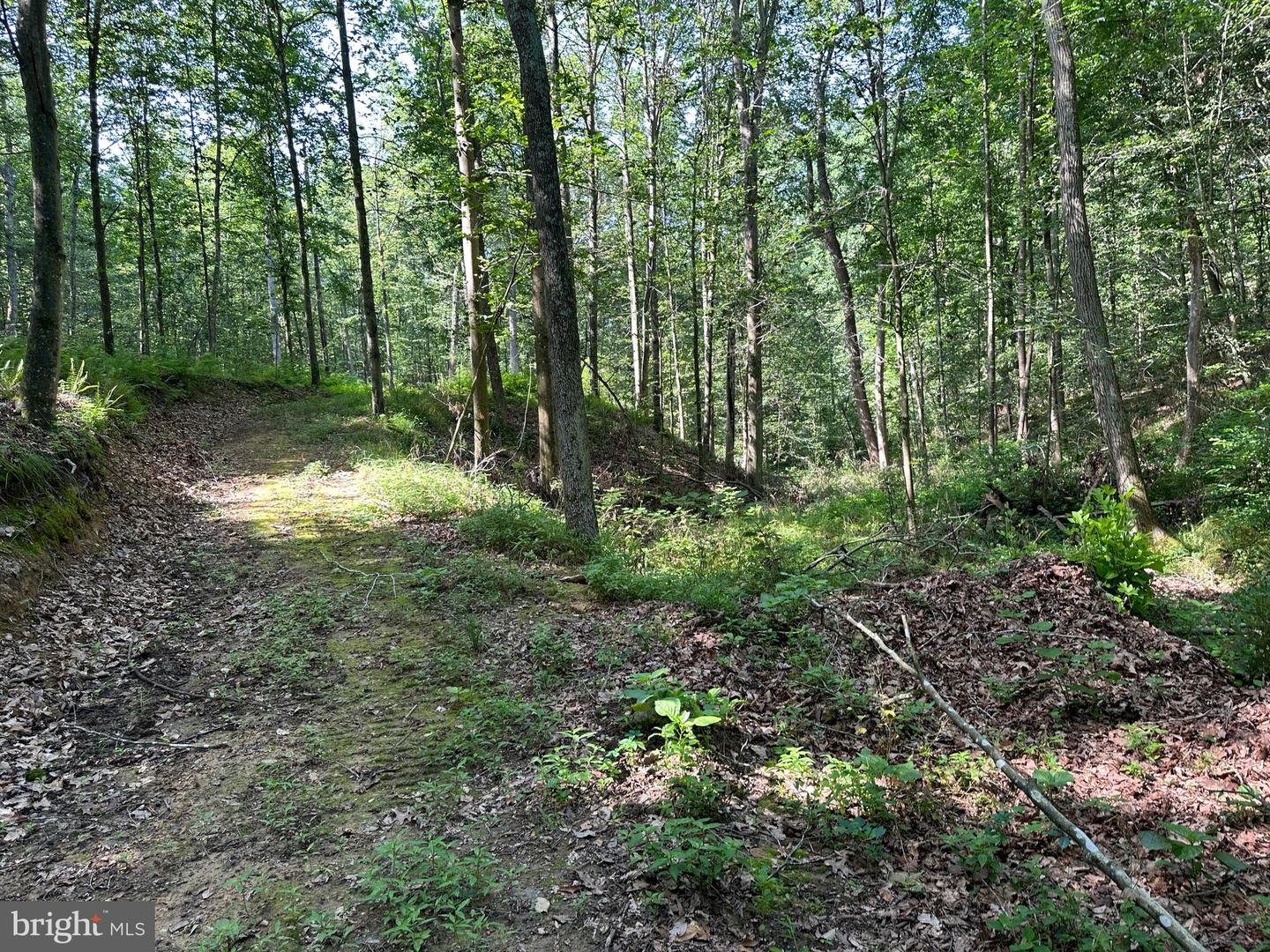 14110 Indian Springs Rd Property Photo 23