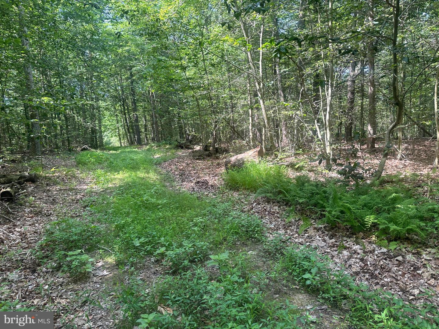 14110 Indian Springs Rd Property Photo 24