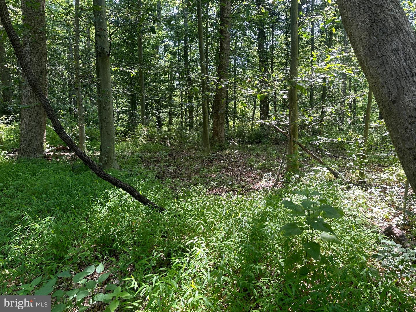 14110 Indian Springs Rd Property Photo 25