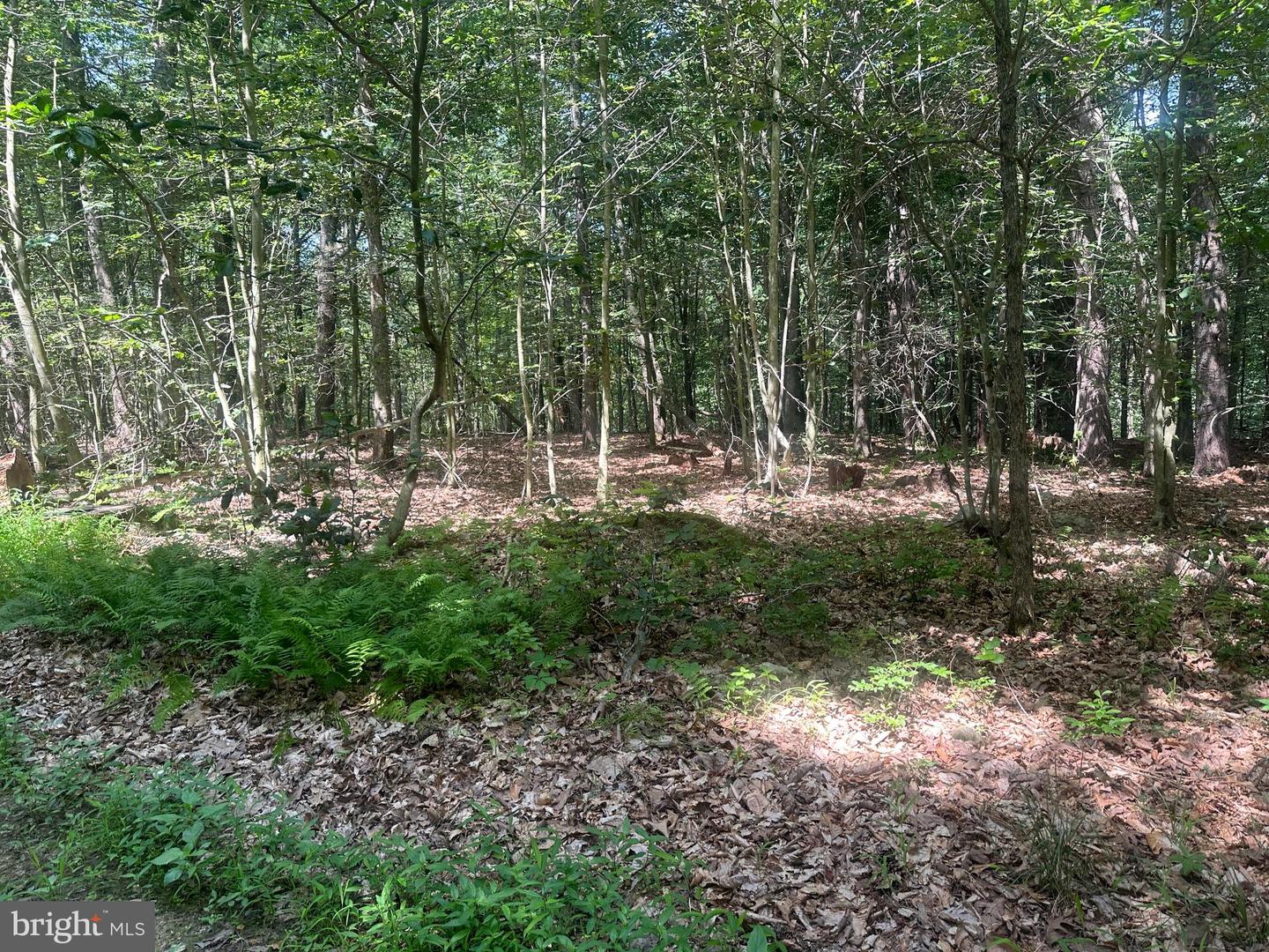 14110 Indian Springs Rd Property Photo 26