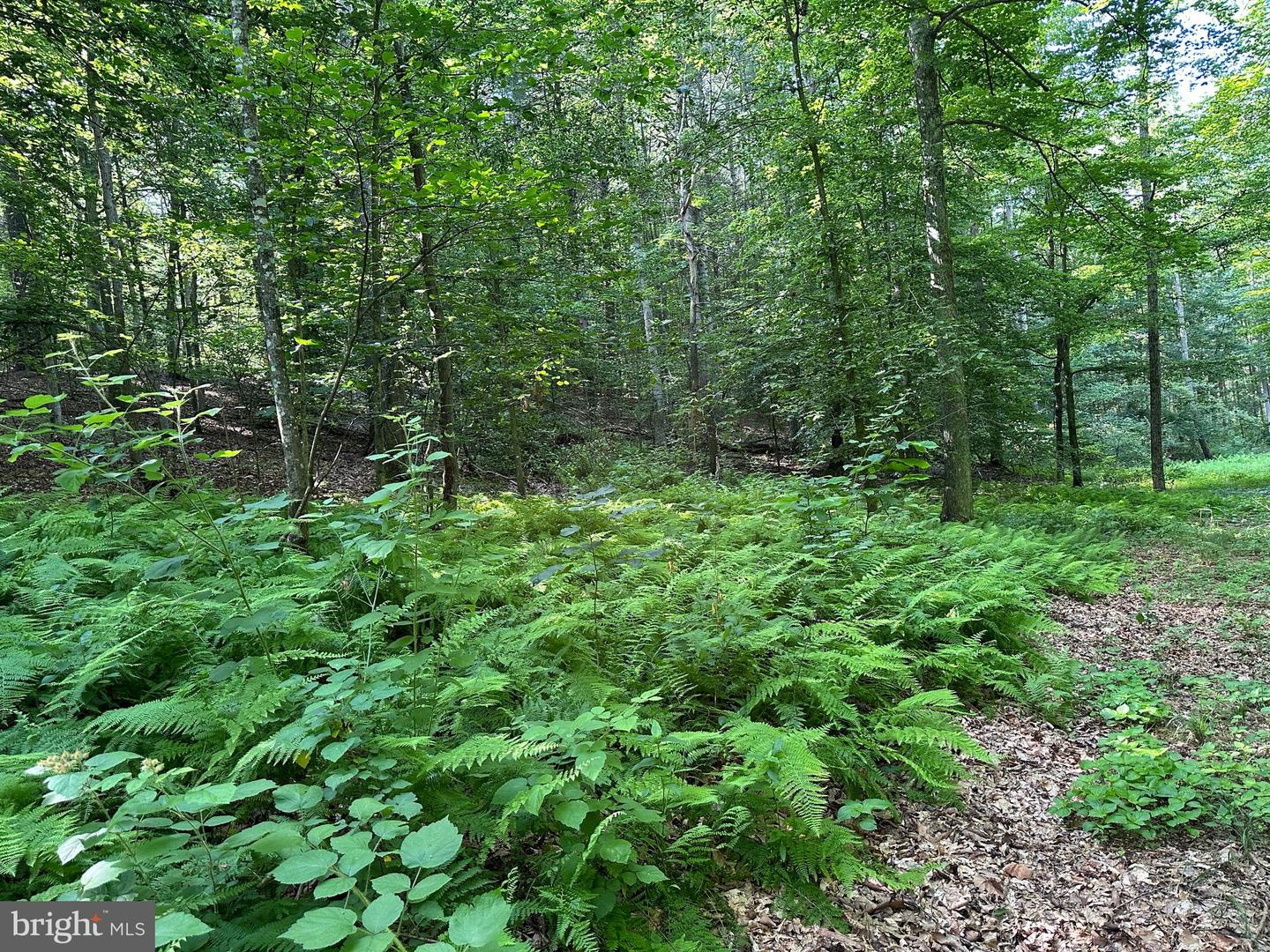 14110 Indian Springs Rd Property Photo 27