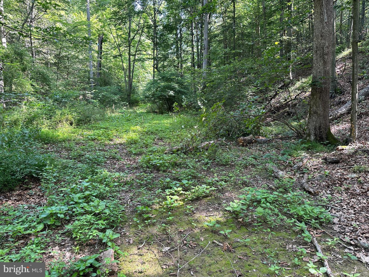 14110 Indian Springs Rd Property Photo 28