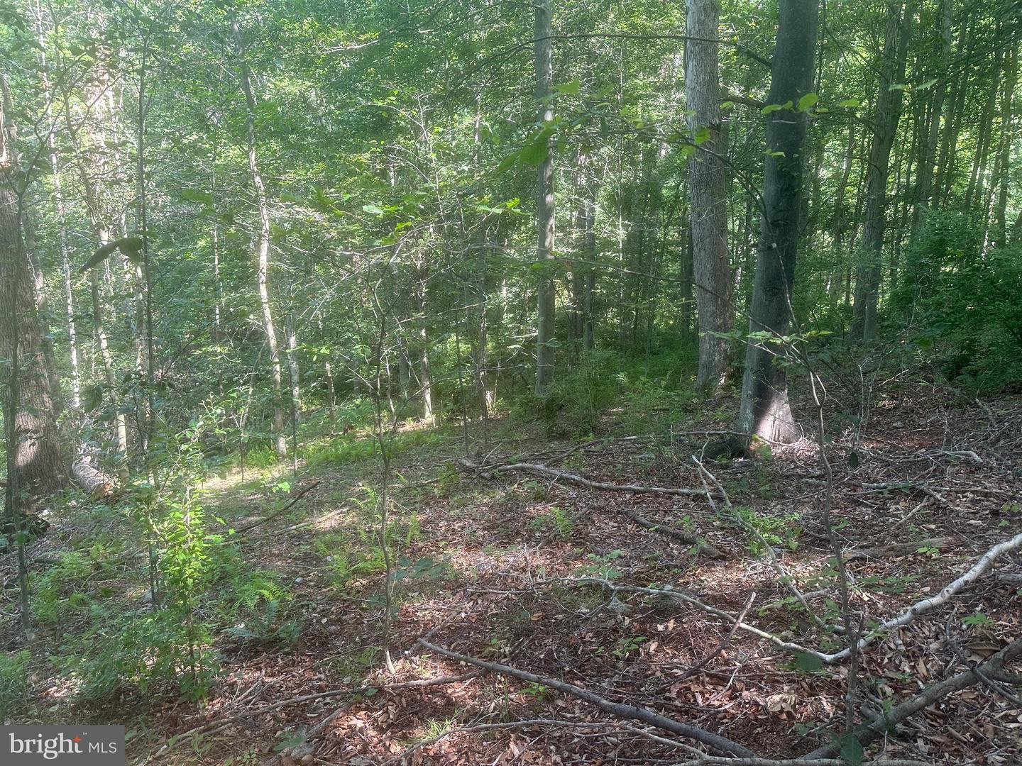 14110 Indian Springs Rd Property Photo 29