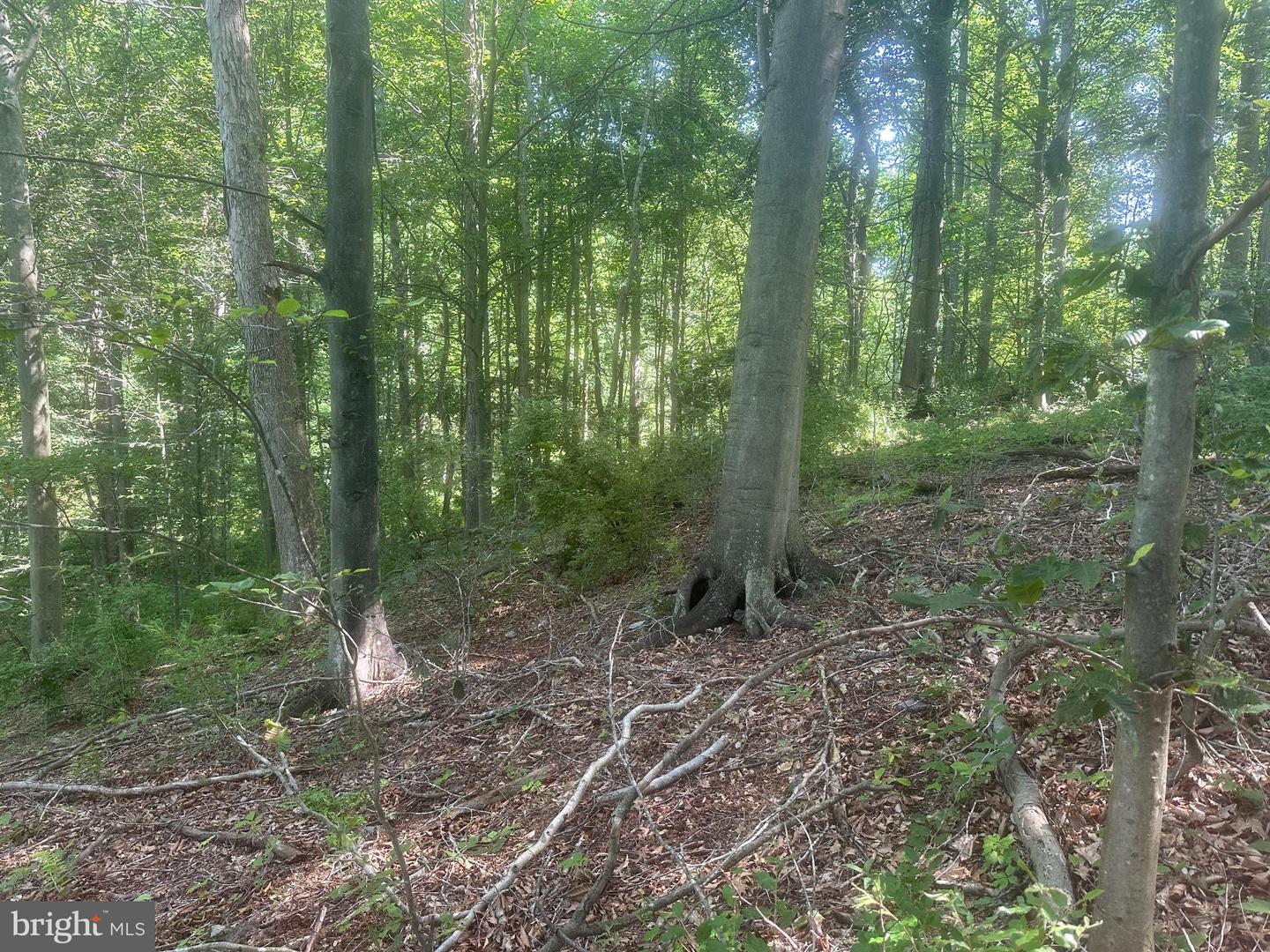 14110 Indian Springs Rd Property Photo 30