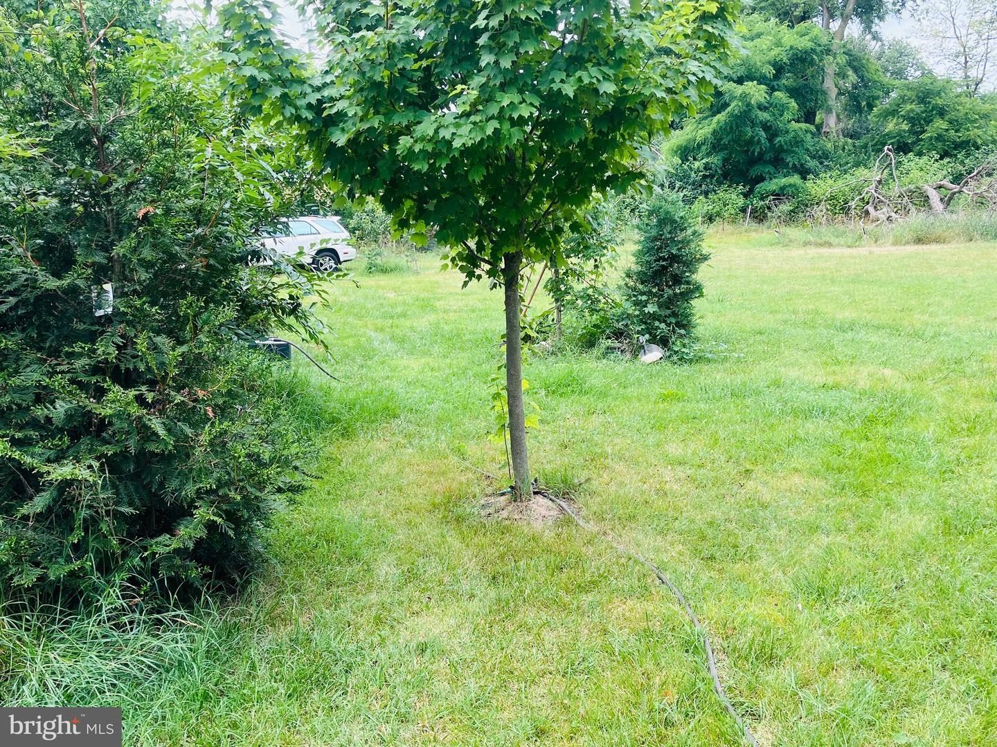 17101 Miner Ave Property Photo 6