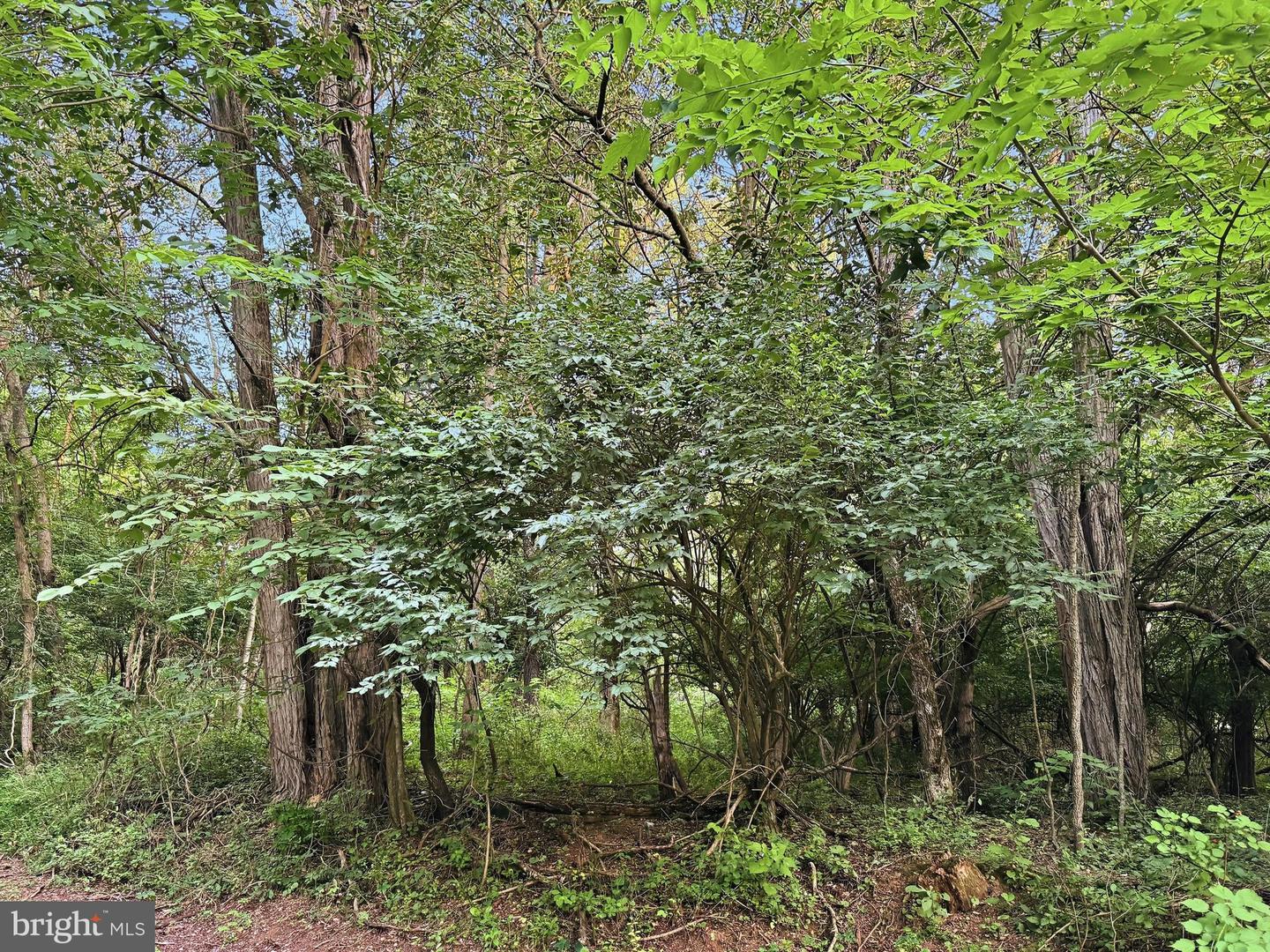 Eleanor Ln Property Photo 5