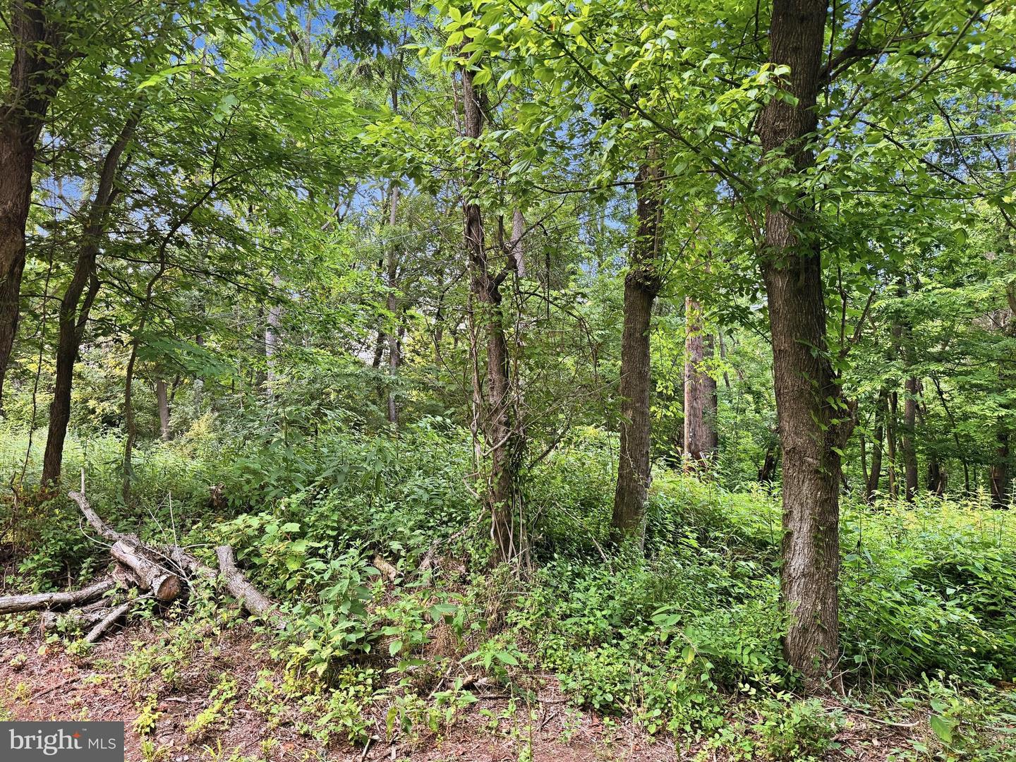 Eleanor Ln Property Photo 7