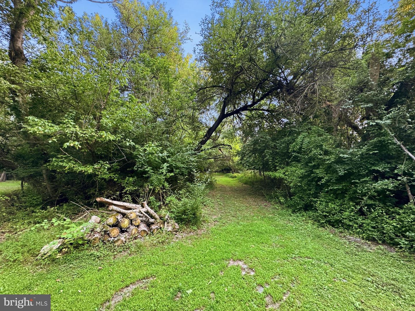 Eleanor Ln Property Photo 9