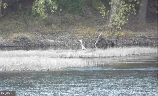 -5 Island Dam Property Photo 24