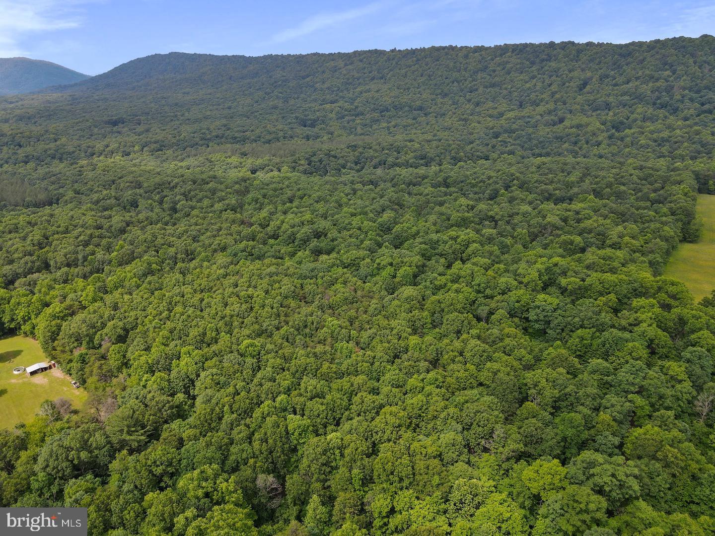 75.31+/- Acres Off Of Porters Ln Property Photo 2