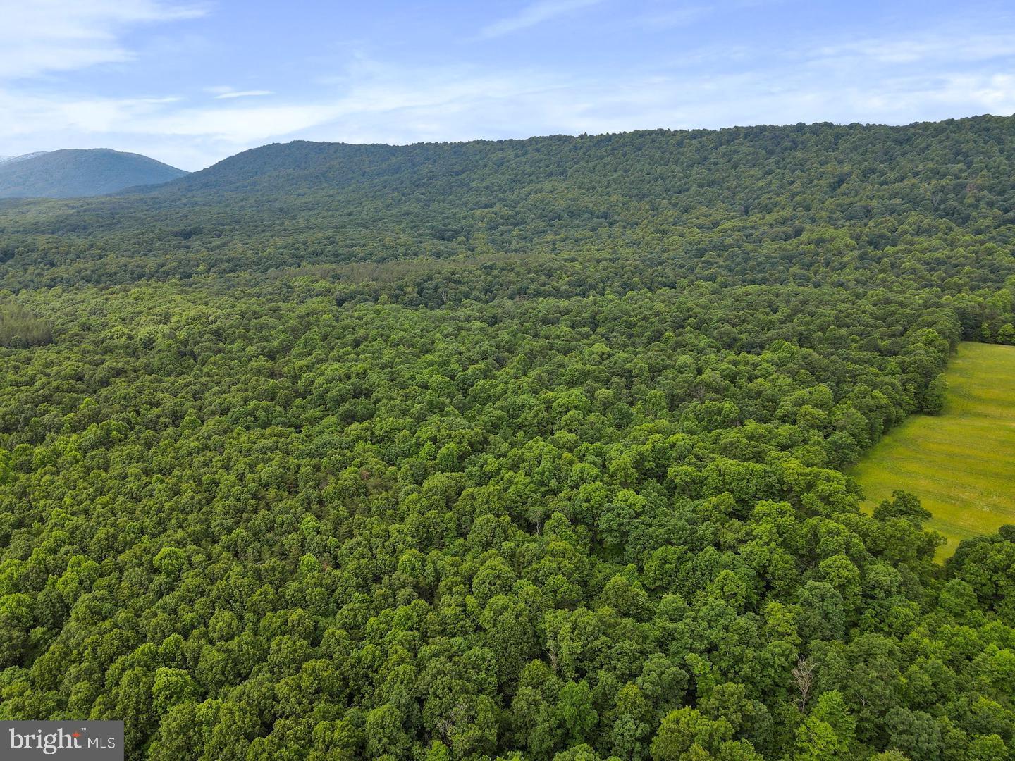 75.31+/- Acres Off Of Porters Ln Property Photo 3