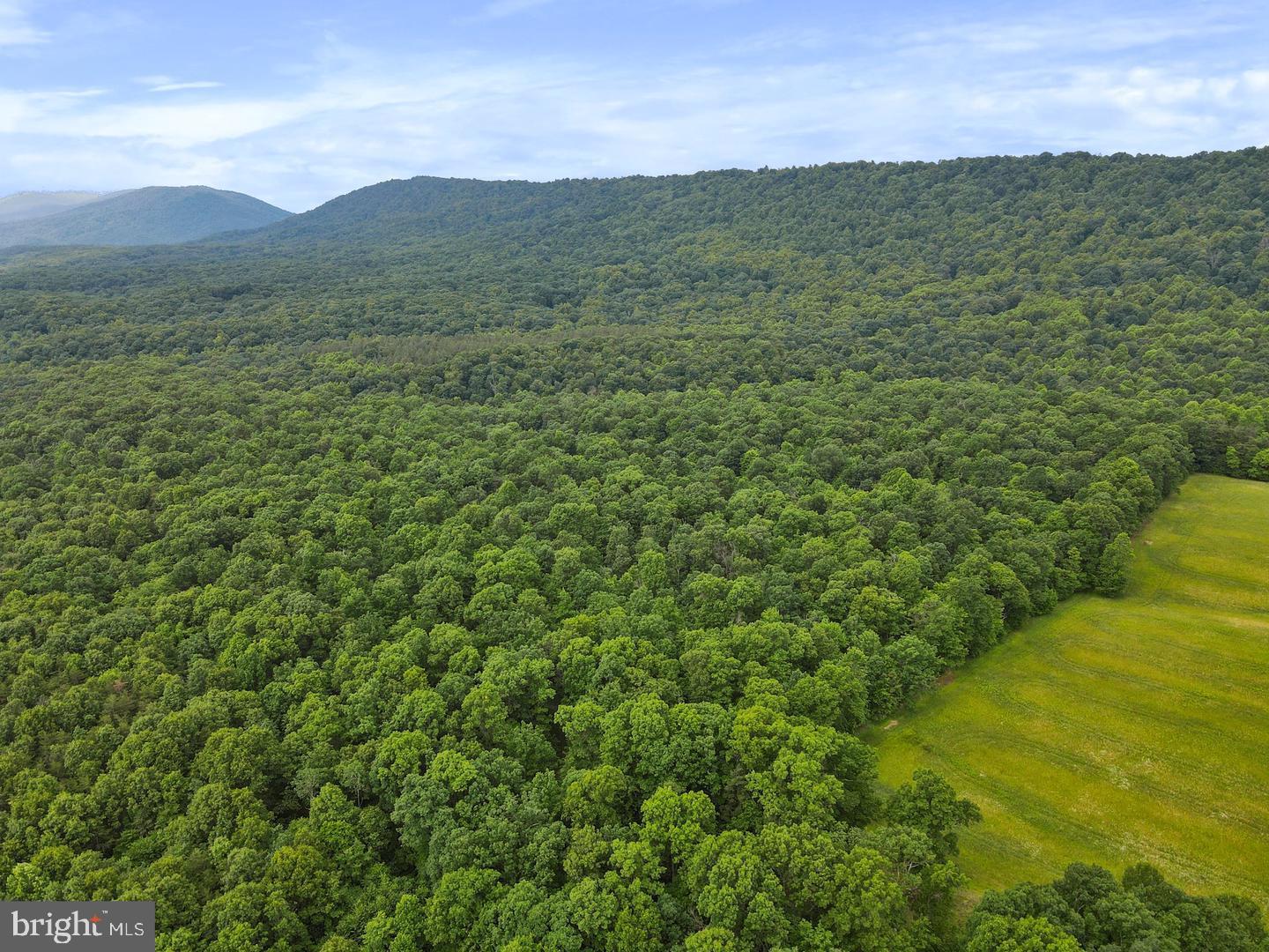 75.31+/- Acres Off Of Porters Ln Property Photo 4