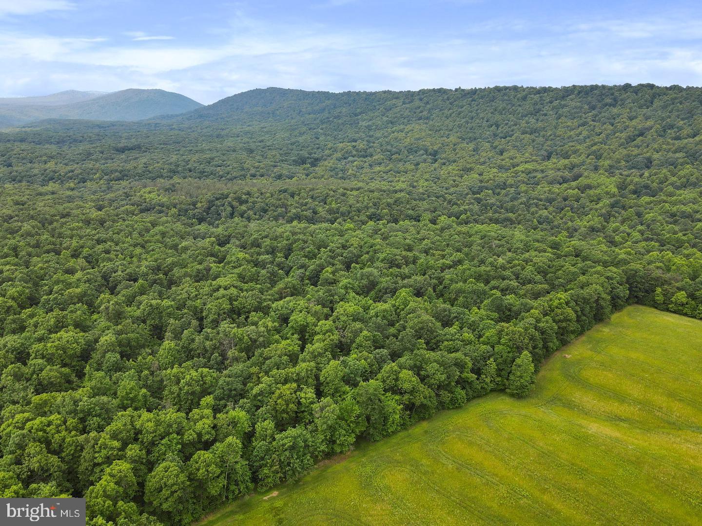 75.31+/- Acres Off Of Porters Ln Property Photo 5