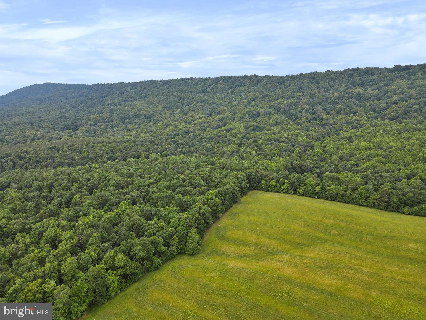 75.31+/- Acres Off Of Porters Ln Property Photo 6