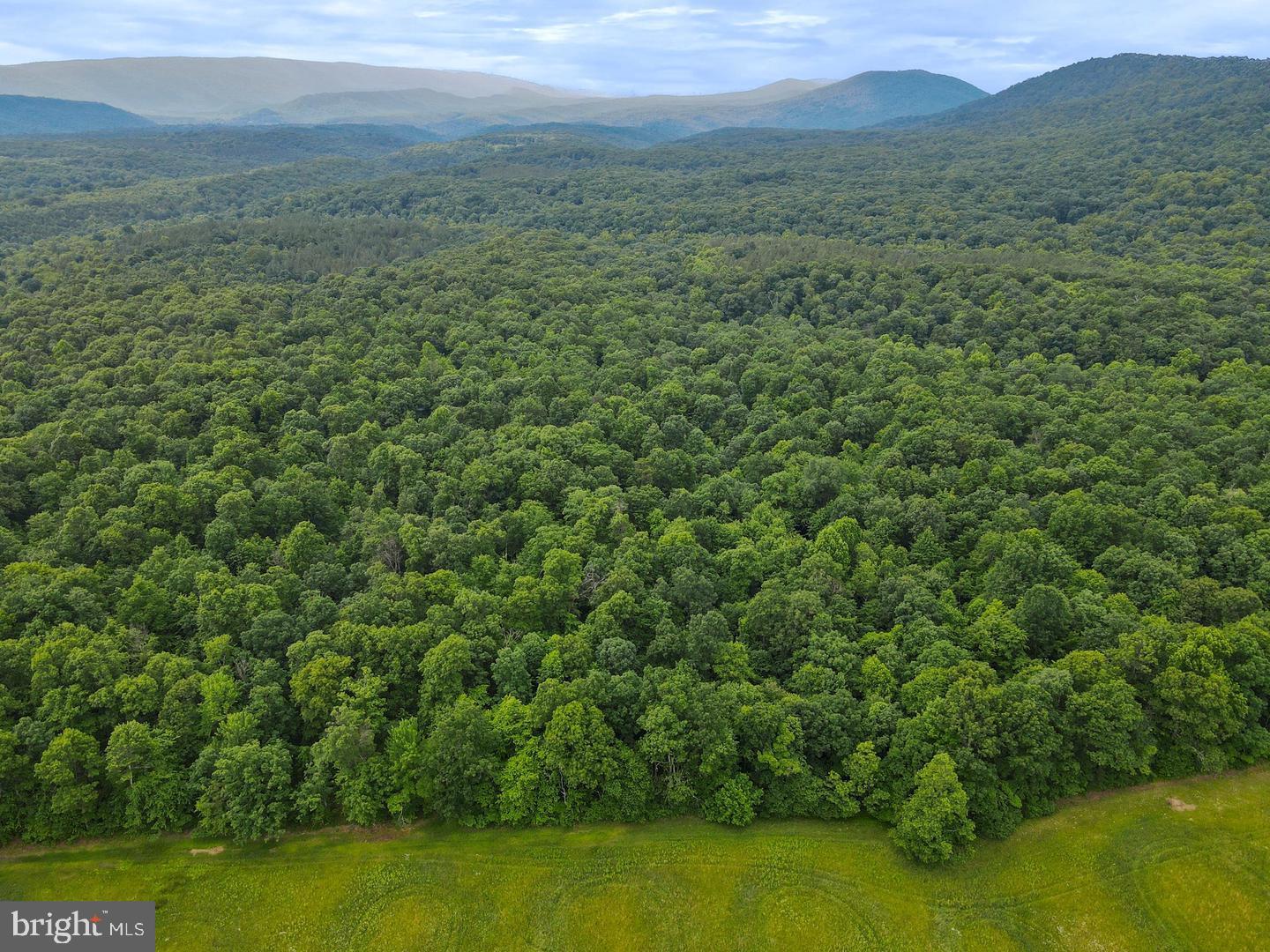 75.31+/- Acres Off Of Porters Ln Property Photo 7