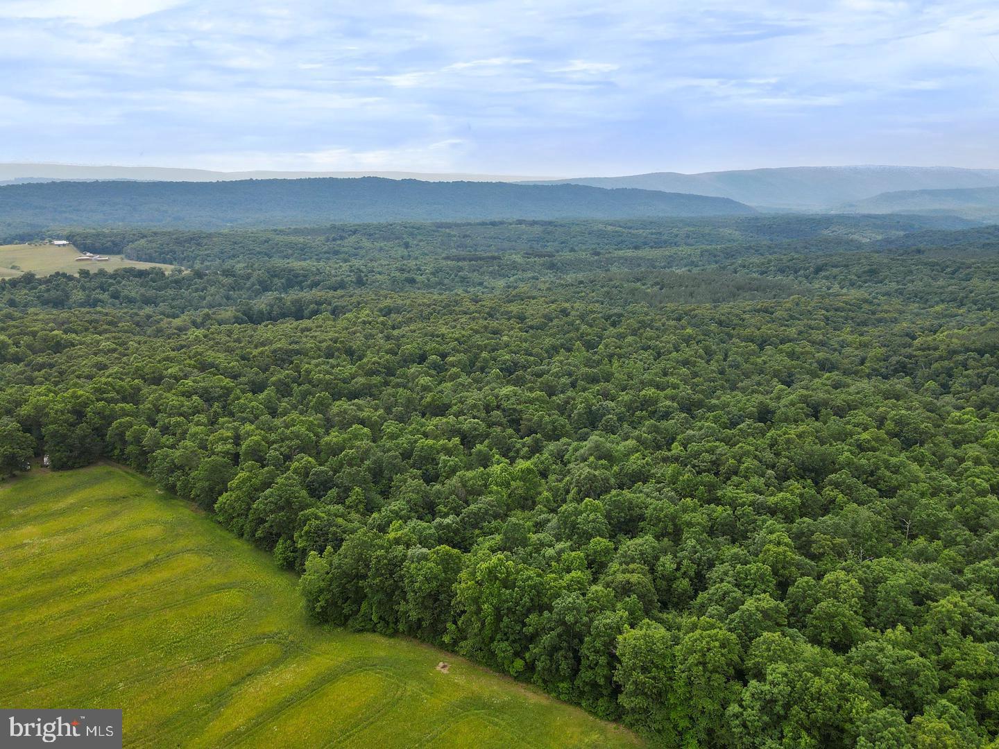 75.31+/- Acres Off Of Porters Ln Property Photo 8