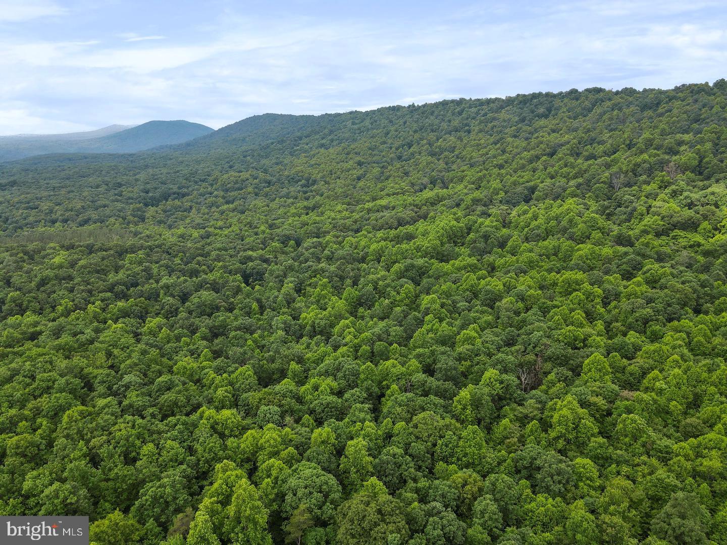 75.31+/- Acres Off Of Porters Ln Property Photo 9